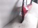 2025 Honda Pilot Rear Passenger Door Red No Inside Trim 67510 T90 A10ZZ Replacement 2025 Honda Pilot Rear Passenger Door Red No Inside Trim 67510 T90 A10ZZ Replacement thumbnail