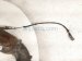 2020 Hyundai Veloster Upper Oxygen Sensor 2.0l 39210 2GPD0 Replacement 2020 Hyundai Veloster Upper Oxygen Sensor 2.0l 39210 2GPD0 Replacement thumbnail