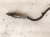 2020 Hyundai Veloster Lower Oxygen Sensor 2.0t 39210 2GPD1 Replacement 2020 Hyundai Veloster Lower Oxygen Sensor 2.0t 39210 2GPD1 Replacement thumbnail