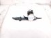 2025 Honda Civic Rear Driver Seat Belt Retractor Black 04828 T39 A00ZA Replacement 2025 Honda Civic Rear Driver Seat Belt Retractor Black 04828 T39 A00ZA Replacement thumbnail
