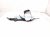 2025 Honda Civic Rear Driver Seat Belt Retractor Black 04828 T39 A00ZA Replacement 2025 Honda Civic Rear Driver Seat Belt Retractor Black 04828 T39 A00ZA Replacement thumbnail