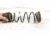 2020 Hyundai Veloster Strut / / Shock Absorber Rear Coil Spring 2.0l Fwd 55350 K9100 Replacement 2020 Hyundai Veloster Strut / / Shock Absorber Rear Coil Spring 2.0l Fwd 55350 K9100 Replacement thumbnail