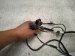 2019 BMW 330i Dashboard Wire Harness Rwd 8 718 961 Replacement 2019 BMW 330i Dashboard Wire Harness Rwd 8 718 961 Replacement thumbnail