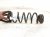 2025 Honda Civic Strut / / Shock Absorber Rear Passenger Coil Spring Sedan 2.0l 52441 T20 A21 Replacement 2025 Honda Civic Strut / / Shock Absorber Rear Passenger Coil Spring Sedan 2.0l 52441 T20 A21 Replacement thumbnail