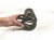 2025 Honda Civic Strut / / Shock Absorber Rear Driver Coil Spring Sedan 2.0l 52441 T20 A21 Replacement 2025 Honda Civic Strut / / Shock Absorber Rear Driver Coil Spring Sedan 2.0l 52441 T20 A21 Replacement thumbnail