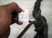 2019 BMW 330i Transmission Wire Harness 2.0t 12 53 8 482 370 Replacement 2019 BMW 330i Transmission Wire Harness 2.0t 12 53 8 482 370 Replacement thumbnail