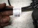 2019 BMW 330i Transmission Wire Harness 2.0t 12 53 8 482 370 Replacement 2019 BMW 330i Transmission Wire Harness 2.0t 12 53 8 482 370 Replacement thumbnail