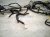 2023 Kia Telluride Dash Instrument Wire Harness Awd 91130 S9680 Replacement 2023 Kia Telluride Dash Instrument Wire Harness Awd 91130 S9680 Replacement thumbnail
