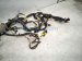 2023 Kia Telluride Dash Instrument Wire Harness Awd 91130 S9680 Replacement 2023 Kia Telluride Dash Instrument Wire Harness Awd 91130 S9680 Replacement thumbnail