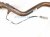 2015 Lexus Rx350 Rear Oxygen Sensor 3.5l 89465 48370 Replacement 2015 Lexus Rx350 Rear Oxygen Sensor 3.5l 89465 48370 Replacement thumbnail
