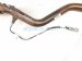 2015 Lexus Rx350 Rear Oxygen Sensor 3.5l 89465 48370 Replacement 2015 Lexus Rx350 Rear Oxygen Sensor 3.5l 89465 48370 Replacement thumbnail