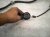 2016 BMW 328i Transmission Wiring Harness 2.0l 7 630 866 Replacement 2016 BMW 328i Transmission Wiring Harness 2.0l 7 630 866 Replacement thumbnail