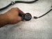 2016 BMW 328i Transmission Wiring Harness 2.0l 7 630 866 Replacement 2016 BMW 328i Transmission Wiring Harness 2.0l 7 630 866 Replacement thumbnail