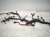 2023 Kia Telluride Main Engine Wire Harness 3.8l Awd 91450 S9010 Replacement 2023 Kia Telluride Main Engine Wire Harness 3.8l Awd 91450 S9010 Replacement thumbnail
