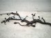 2023 Kia Telluride Main Engine Wire Harness 3.8l Awd 91450 S9010 Replacement 2023 Kia Telluride Main Engine Wire Harness 3.8l Awd 91450 S9010 Replacement thumbnail