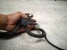 2025 Hyundai Sonata Positive Battery Cable 2.5l Awd 91851 L1710 Replacement 2025 Hyundai Sonata Positive Battery Cable 2.5l Awd 91851 L1710 Replacement thumbnail