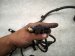 2016 BMW 328i Engine Wire Harness 2.0l At Rwd 12 51 8 654 976 Replacement 2016 BMW 328i Engine Wire Harness 2.0l At Rwd 12 51 8 654 976 Replacement thumbnail