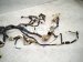 2022 Subaru WRX Dash Instrument Wire Harness 81302VC061 Replacement 2022 Subaru WRX Dash Instrument Wire Harness 81302VC061 Replacement thumbnail