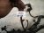2016 BMW 328i Engine Wiring Harness 2.0l Rwd 12 51 8 645 548 Replacement 2016 BMW 328i Engine Wiring Harness 2.0l Rwd 12 51 8 645 548 Replacement thumbnail