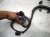 2025 Hyundai Sonata Engine Wire Harness 2.5l At Awd 91460 L1610 Replacement 2025 Hyundai Sonata Engine Wire Harness 2.5l At Awd 91460 L1610 Replacement thumbnail