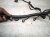 2025 Hyundai Sonata Engine Wire Harness 2.5l At Awd 91460 L1610 Replacement 2025 Hyundai Sonata Engine Wire Harness 2.5l At Awd 91460 L1610 Replacement thumbnail