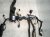 2025 Hyundai Sonata Engine Wire Harness 2.5l At Awd 91460 L1610 Replacement 2025 Hyundai Sonata Engine Wire Harness 2.5l At Awd 91460 L1610 Replacement thumbnail