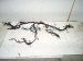 2021 Lexus Is300 Dash Instrument Wire Harness Rwd 82145 53L90 Replacement 2021 Lexus Is300 Dash Instrument Wire Harness Rwd 82145 53L90 Replacement thumbnail