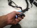2021 Lexus Is300 Dash Instrument Wire Harness Rwd 82145 53L90 Replacement 2021 Lexus Is300 Dash Instrument Wire Harness Rwd 82145 53L90 Replacement thumbnail