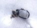 2018 Honda Civic Turbocharger Laf Oxygen Sensor 1.5l 36531 5K8 004 Replacement 2018 Honda Civic Turbocharger Laf Oxygen Sensor 1.5l 36531 5K8 004 Replacement thumbnail
