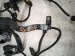 2019 BMW 330i Main Engine Wire Harness 2.0t Rwd 8 482 378 Replacement 2019 BMW 330i Main Engine Wire Harness 2.0t Rwd 8 482 378 Replacement thumbnail