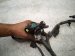 2022 Subaru WRX Main Engine Wire Harness 2.4l Mt 24020AH270 Replacement 2022 Subaru WRX Main Engine Wire Harness 2.4l Mt 24020AH270 Replacement thumbnail