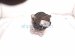 2025 Toyota Tacoma Engine/motor Passenger Engine Mount 2.4l 4x4 12361 F0250 Replacement 2025 Toyota Tacoma Engine/motor Passenger Engine Mount 2.4l 4x4 12361 F0250 Replacement thumbnail
