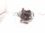 2025 Toyota Tacoma Engine/motor Passenger Engine Mount 2.4l 4x4 12361 F0250 Replacement 2025 Toyota Tacoma Engine/motor Passenger Engine Mount 2.4l 4x4 12361 F0250 Replacement thumbnail