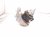 2025 Toyota Tacoma Engine/motor Passenger Engine Mount 2.4l 4x4 12361 F0250 Replacement 2025 Toyota Tacoma Engine/motor Passenger Engine Mount 2.4l 4x4 12361 F0250 Replacement thumbnail