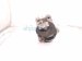 2025 Toyota Tacoma Engine/motor Passenger Engine Mount 2.4l 4x4 12361 F0250 Replacement 2025 Toyota Tacoma Engine/motor Passenger Engine Mount 2.4l 4x4 12361 F0250 Replacement thumbnail