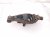 2000 Toyota Tacoma Front Driver Lower Control Arm 48069 35070 Replacement 2000 Toyota Tacoma Front Driver Lower Control Arm 48069 35070 Replacement thumbnail