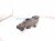 2000 Toyota Tacoma Front Driver Lower Control Arm 48069 35070 Replacement 2000 Toyota Tacoma Front Driver Lower Control Arm 48069 35070 Replacement thumbnail