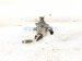 2020 Hyundai Veloster Gas / Fuel Pump Engine Mtd 2.0t 35320 2GHA1 Replacement 2020 Hyundai Veloster Gas / Fuel Pump Engine Mtd 2.0t 35320 2GHA1 Replacement thumbnail