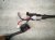 2021 Toyota Rav 4 Engine Wire Harness 2.5l At Fwd 82121 0R170 Replacement 2021 Toyota Rav 4 Engine Wire Harness 2.5l At Fwd 82121 0R170 Replacement thumbnail