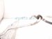 2018 Honda Civic Ac Hose Line A/c Suction Pipe 1.5l Htbk 80312 TGG A03 Replacement 2018 Honda Civic Ac Hose Line A/c Suction Pipe 1.5l Htbk 80312 TGG A03 Replacement thumbnail