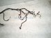 2025 BMW I4 Dash Instrument Wire Harness 61 11 5 A45 364 Replacement 2025 BMW I4 Dash Instrument Wire Harness 61 11 5 A45 364 Replacement thumbnail