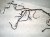 2025 BMW I4 Dash Instrument Wire Harness 61 11 5 A45 364 Replacement 2025 BMW I4 Dash Instrument Wire Harness 61 11 5 A45 364 Replacement thumbnail