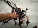 2025 BMW I4 Dash Instrument Wire Harness 61 11 5 A45 364 Replacement 2025 BMW I4 Dash Instrument Wire Harness 61 11 5 A45 364 Replacement thumbnail