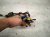 2017 BMW Mini Cooper Dash Instrument Wire Harness 61 12 6 809 450 Replacement 2017 BMW Mini Cooper Dash Instrument Wire Harness 61 12 6 809 450 Replacement thumbnail
