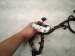 2017 BMW Mini Cooper Dash Instrument Wire Harness 61 12 6 809 450 Replacement 2017 BMW Mini Cooper Dash Instrument Wire Harness 61 12 6 809 450 Replacement thumbnail