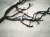 2025 Nissan Kicks Dash Instrument Wire Harness Fwd 24010 7LG0A Replacement 2025 Nissan Kicks Dash Instrument Wire Harness Fwd 24010 7LG0A Replacement thumbnail