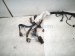2025 Nissan Kicks Engine Room Harness 2.0l Fwd 24011 7LG0A Replacement 2025 Nissan Kicks Engine Room Harness 2.0l Fwd 24011 7LG0A Replacement thumbnail
