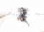 2022 Toyota Venza Brake Pedal Assy Fl 2.5l Hybrid 47110 42430 Replacement 2022 Toyota Venza Brake Pedal Assy Fl 2.5l Hybrid 47110 42430 Replacement thumbnail