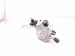 2022 Toyota Venza Windshield Rear Wiper Motor Assy 85130 48100 Replacement 2022 Toyota Venza Windshield Rear Wiper Motor Assy 85130 48100 Replacement thumbnail