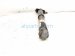 2015 Lexus Rx350 Strut / Spring / Rear Driver Shock Absorber 48531 48102 Replacement 2015 Lexus Rx350 Strut / Spring / Rear Driver Shock Absorber 48531 48102 Replacement thumbnail